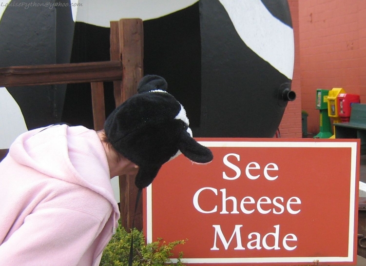 Ashe County Cheese餐厅图片