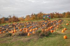 Shelburne Farms-谢尔本