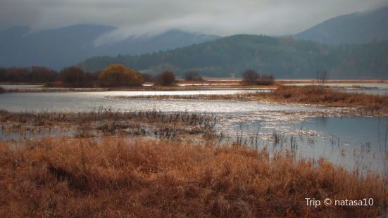Cerknica Lake