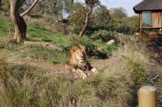 National Zoological Gardens of South Africa-比勒陀利亚