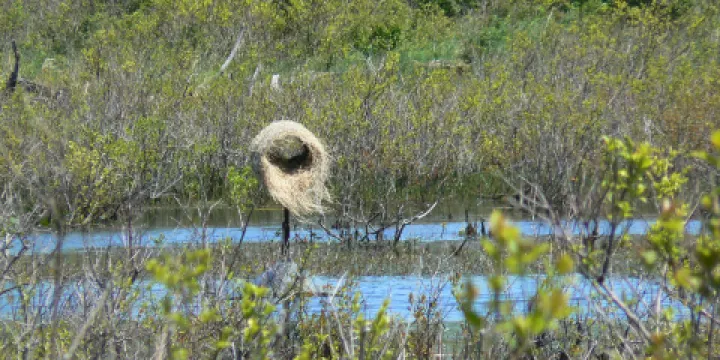 派斯克小島州立公園