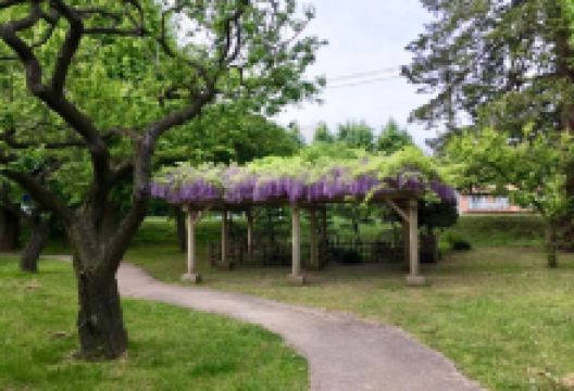 Mito Eki Building Excel Minami购物图片