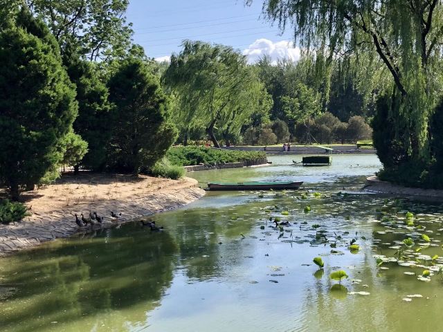 四得公园旅行图片 1