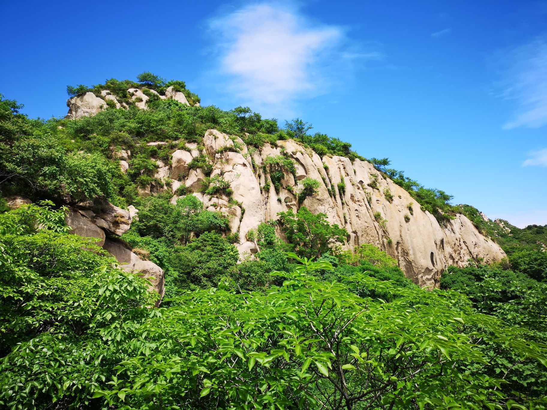大岭沟风景区