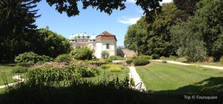 Botanischer Garten Botanical Garden Of The University Of Vienna