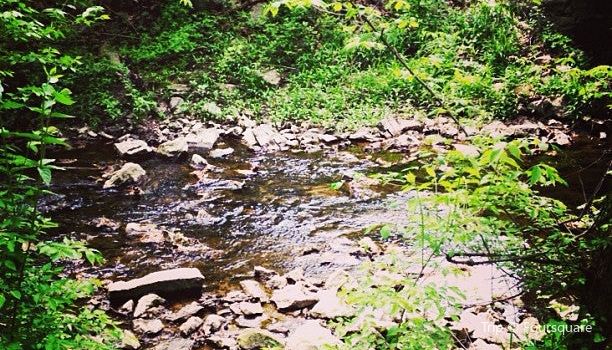 Inniswood Metro Gardens Travel Guidebook Must Visit Attractions