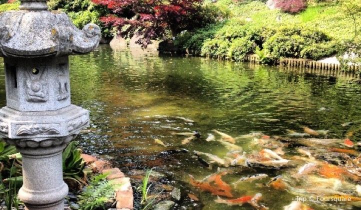 Japanischer Garten Japanese Garden Travel Guidebook Must Visit