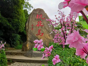 桃花岛游记图文-宁波周边游 | 浪漫桃花岛，心怀武侠梦。