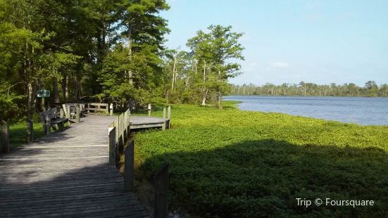 Somerset Place Travel Guidebook Must Visit Attractions In