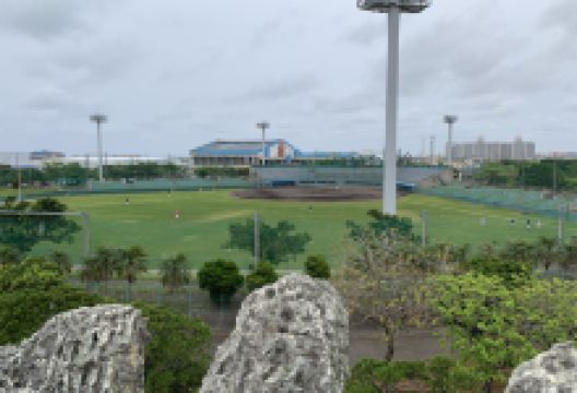 西崎亲水运动公园景点图片