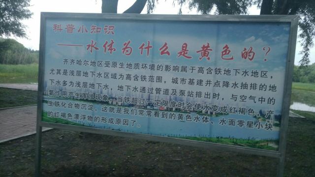 东湖公园旅行图片 6