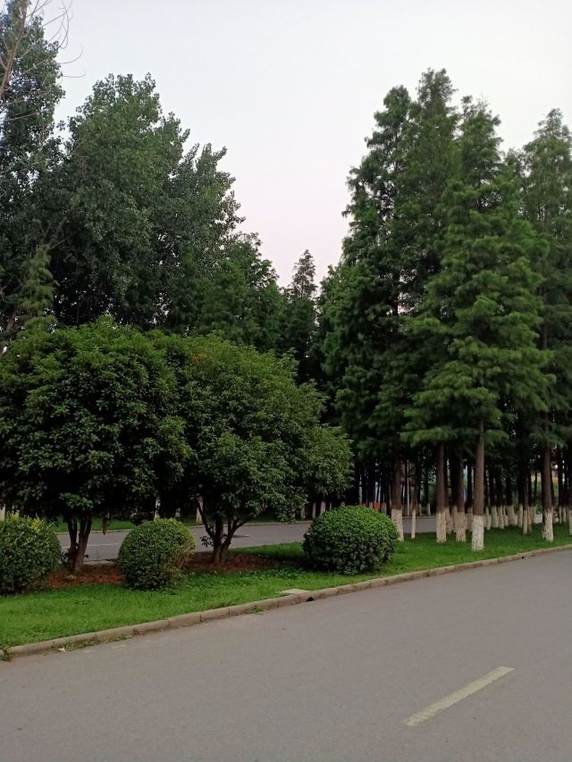 郓城黄泥岗攻略,郓城黄泥岗门票/游玩攻略/地址/图片/门票价格【携程