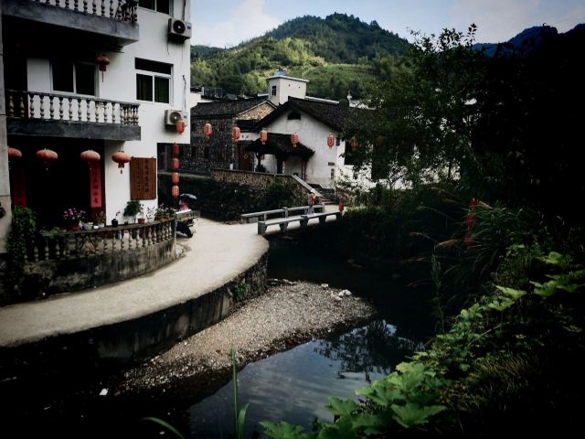 芹川村