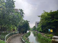 黄埔村-广州-海绵宝宝的小太阳