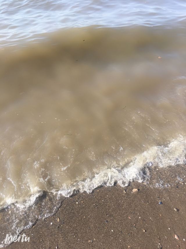 夏家河子海滨景区旅行图片 2