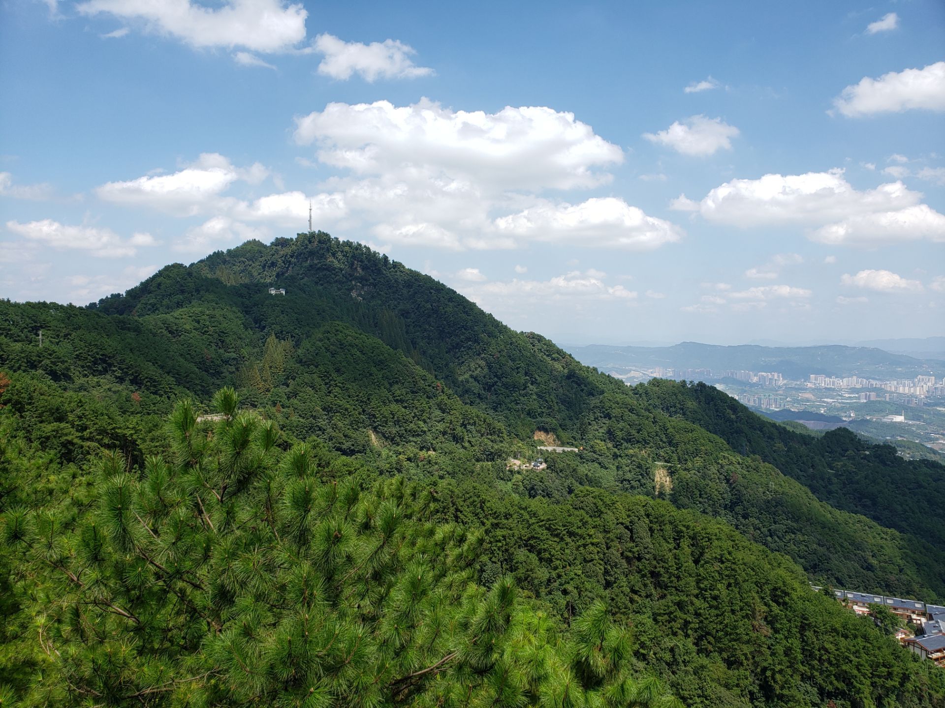 铁山森林公园