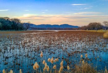北京恭王府+颐和园+圆明园一日活动【省心游+可车览清北外景】【[品质保证]：享品质，无购物，真正的团，首到门票全含。】