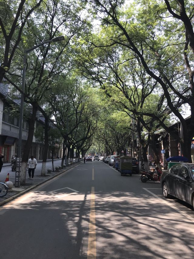 凤凰台旅行图片 12