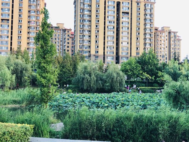 李村河生态全景示范园旅行图片