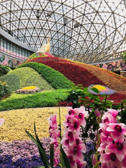 花之城