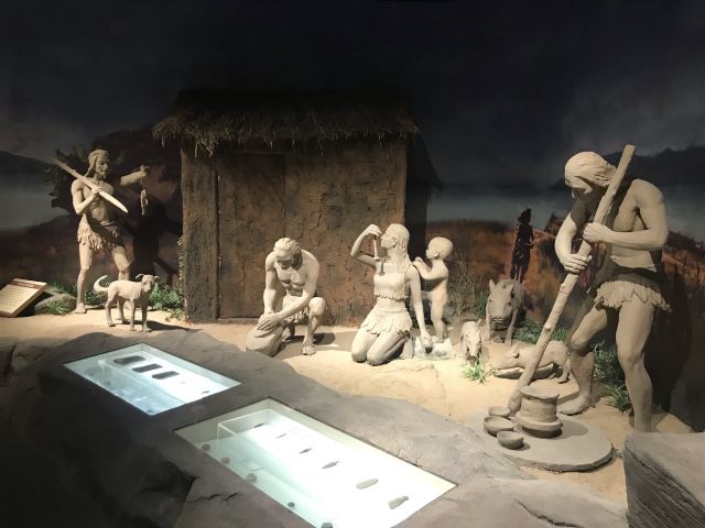 中共岳阳南湖风景区工作委员会旅行图片 5