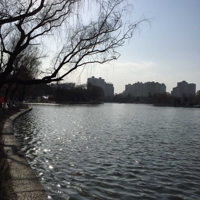 兴庆宫公园旅行图片 1