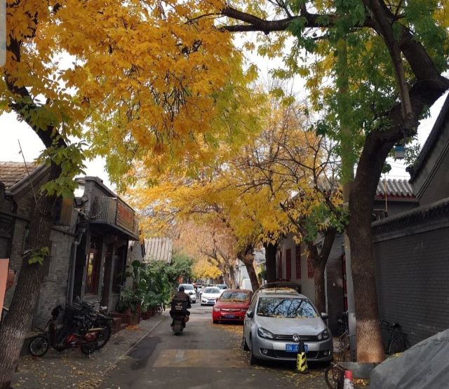 北锣鼓巷旅行图片 2