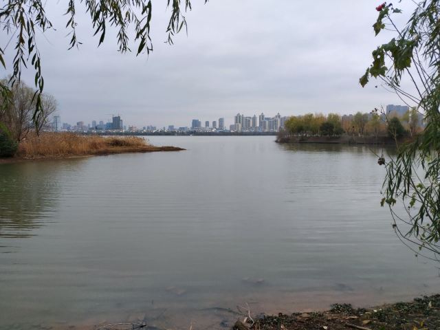 艾溪湖森林湿地公园旅行图片 1