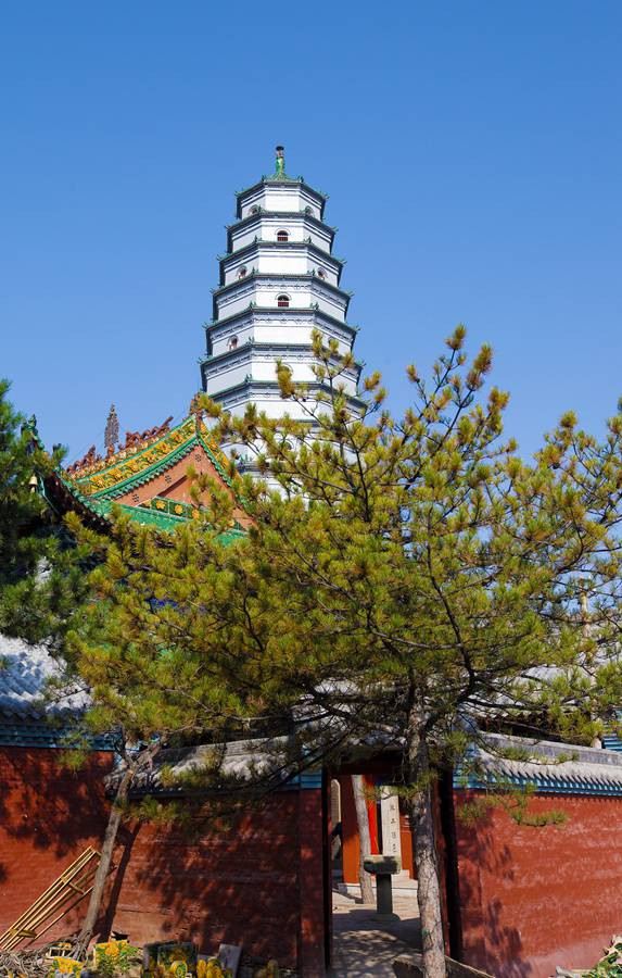 九龙山旅行图片 2