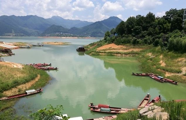 黄草镇金牛岛旅行图片 3