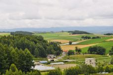 美瑛町-deany伯爵