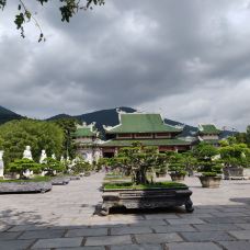 山茶半岛-岘港-YoYo_1A8L6C6H