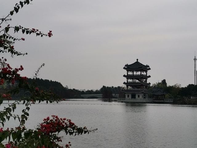 华阳湖国家湿地公园旅行图片 8