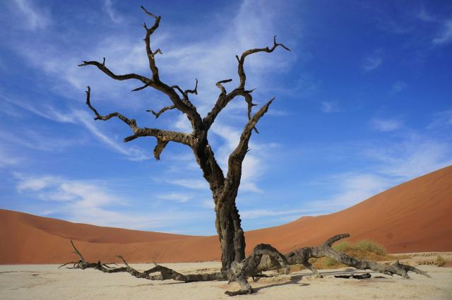 Namib-Naukluft National Park