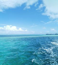 帕劳游记图文-带着满满joye去旅行（4岁）——上帝的水族馆加罗林群岛