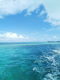 科罗尔游记图片] 带着满满joye去旅行（4岁）——上帝的水族馆加罗林群岛