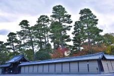 京都御所-京都-翱翔的大鲨鱼