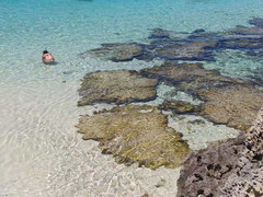 珀斯游记图片] 浪出不一样的西澳-和当地人一起跳崖冲浪（9天自驾，Perth-Margaret River-Rottnest)