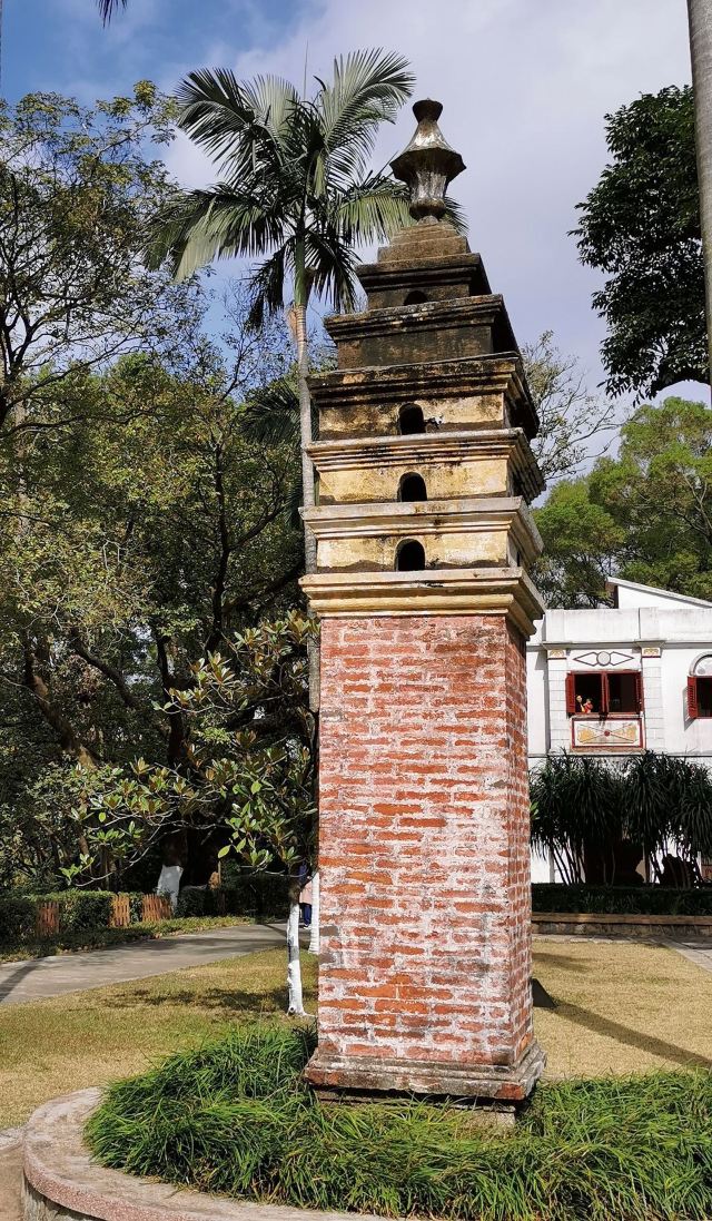 共乐园旅行图片 2