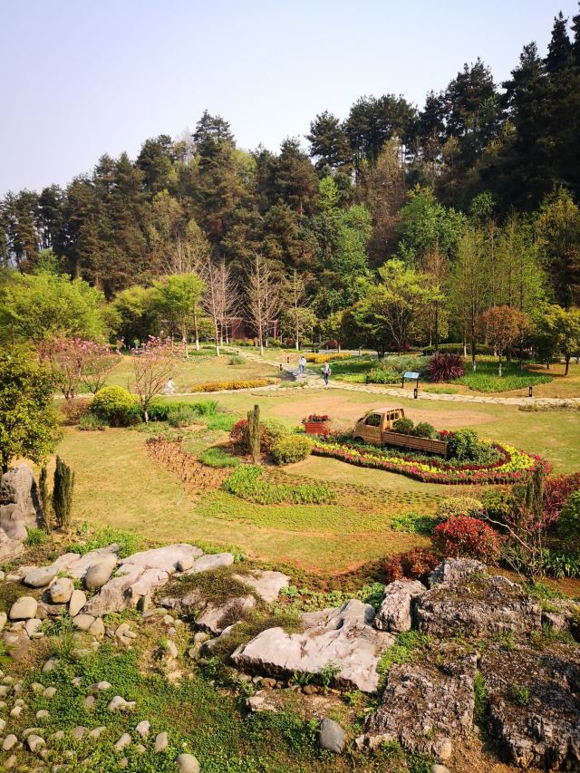 登高云山森林公园旅行图片 6