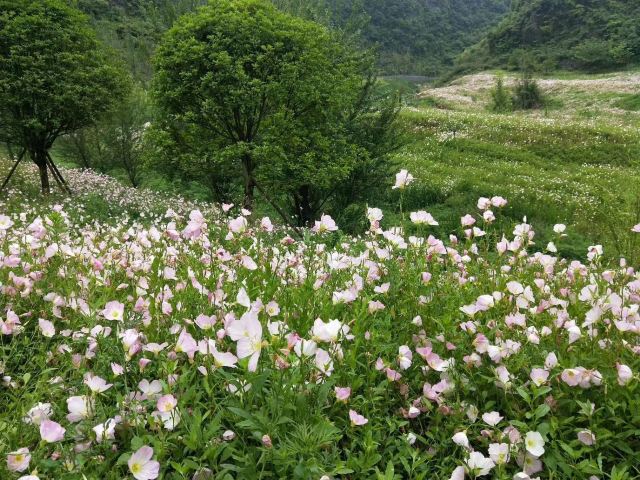 神泉谷景区旅行图片 2