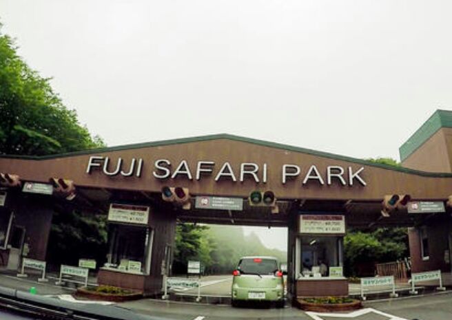 富士野生动物园