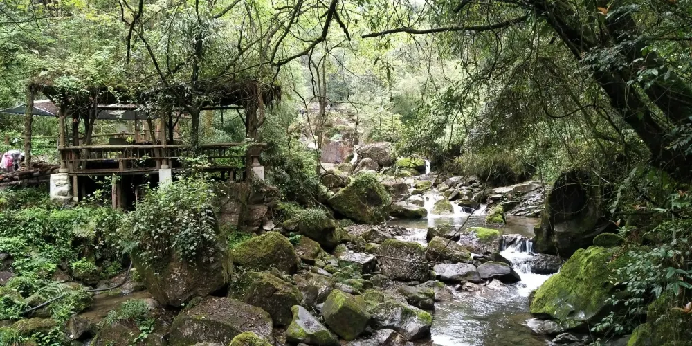 永安旅遊