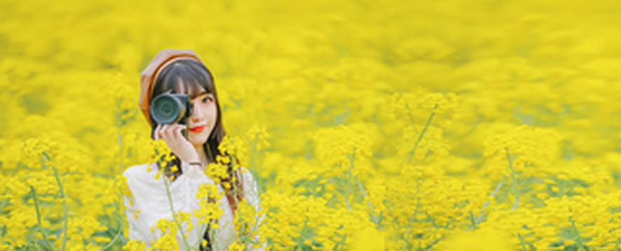 山河无恙,踏青赏花正当时,兴化千垛景区万亩油菜花如天然调色板