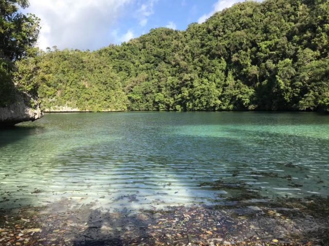 팔라우 밀키웨이 Attractions - 코로 Travel Review -2020년 4월 13일Travel Guide