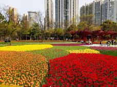 静安雕塑公园-上海-amydog