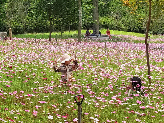 厦门自然风光这处首选