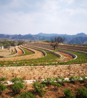 洛南游记图文-美丽乡村游系列~陕西洛南玫瑰小镇-音乐小镇-花溪弄