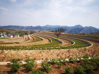 美丽乡村游系列~陕西洛南玫瑰小镇-音乐小镇-花溪弄