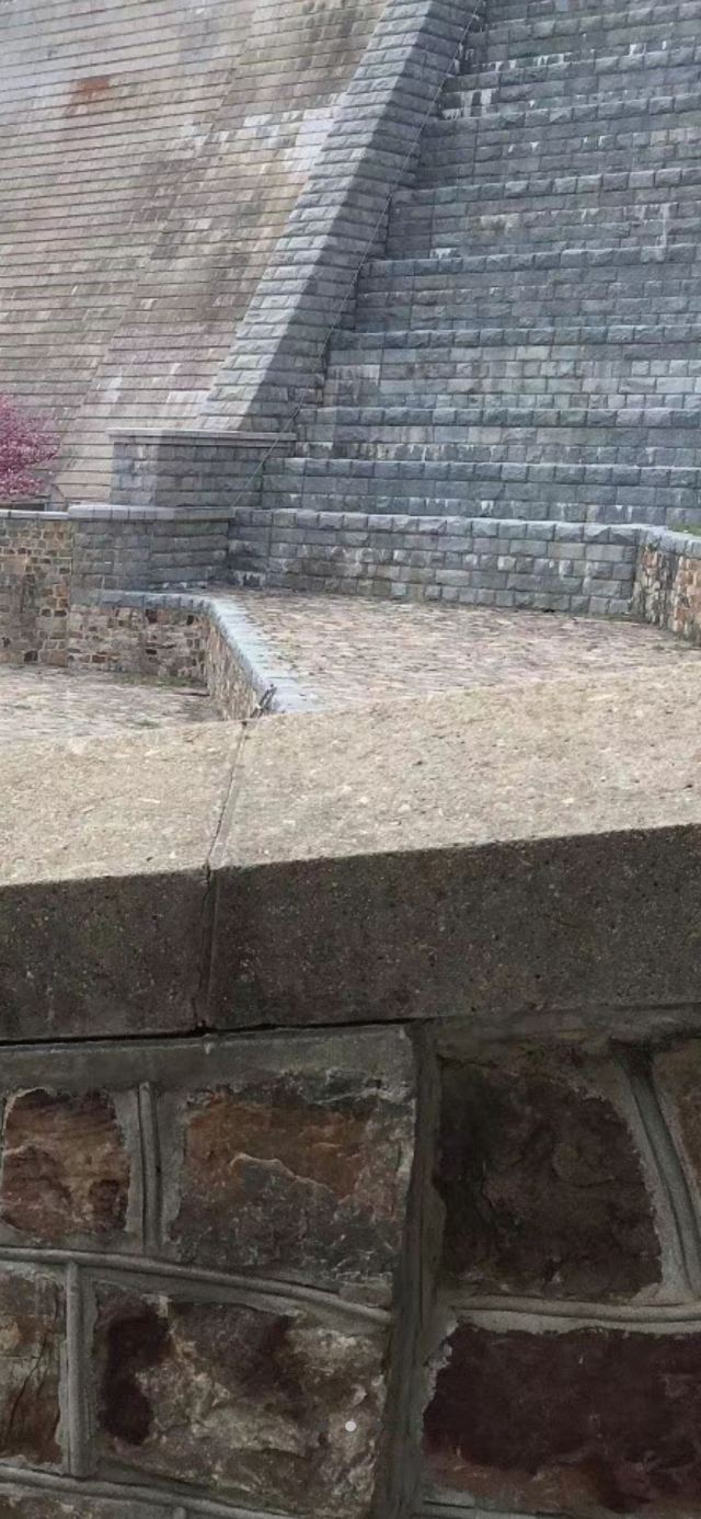 樱花园旅行图片 4
